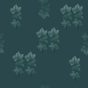 Collections ember bloom merged maple clusters cw6