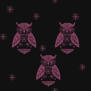 Collections winter watcher owl second set cw03